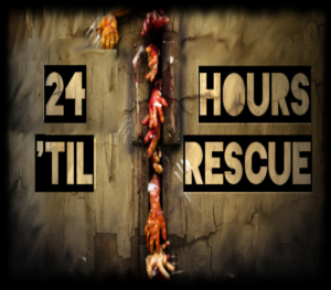 24 Hours ’til Rescue PC Steam CD Key