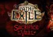 Path of Exile – Arctic Crown + Cobra Pet CD Key