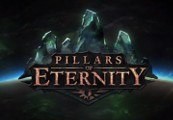 Pillars of Eternity Hero Edition GOG CD Key